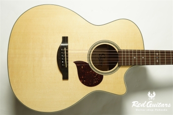 F120-GA Sitka Spruce / African Mahogany